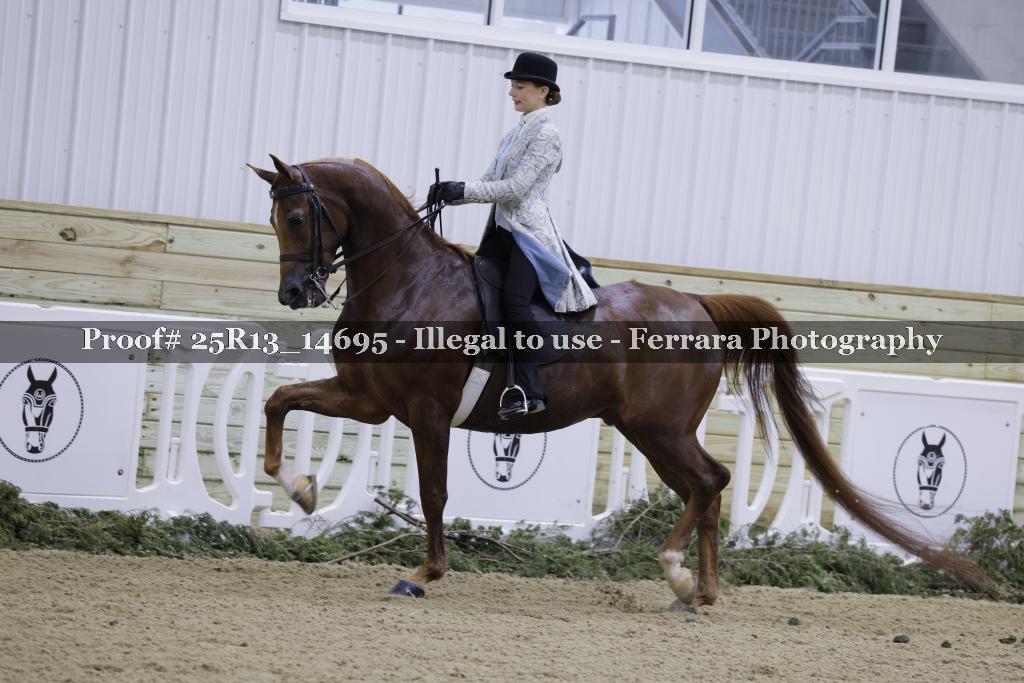 Proof 25R13_14695