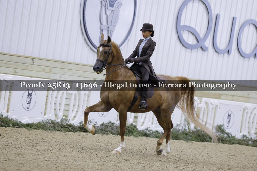 Proof 25R13_14696
