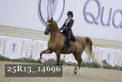 25R13_14696 proof