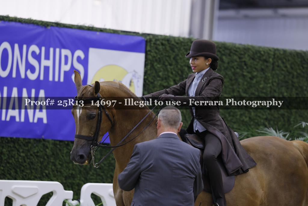 Proof 25R13_14697