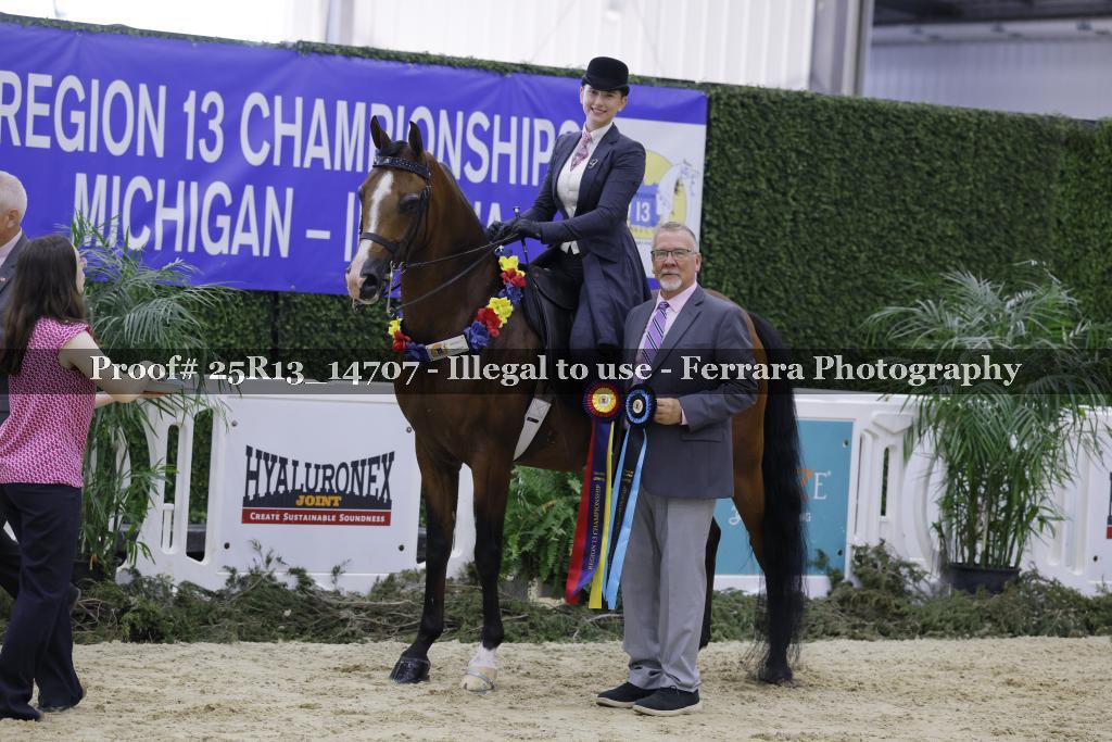 Proof 25R13_14707