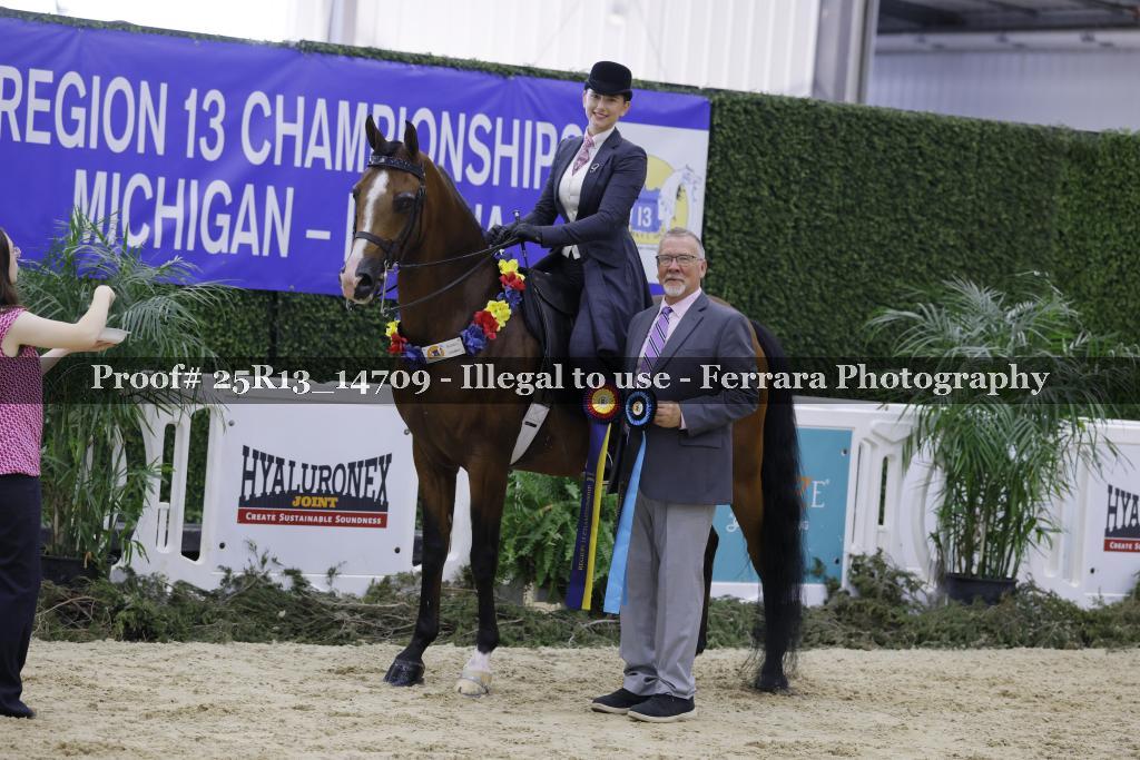 Proof 25R13_14709