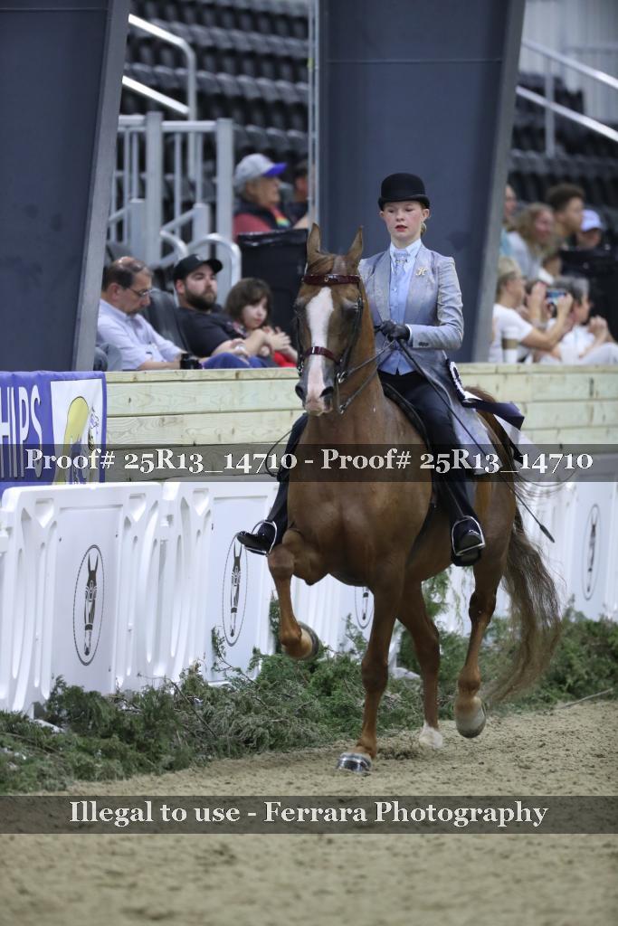 Proof 25R13_14710