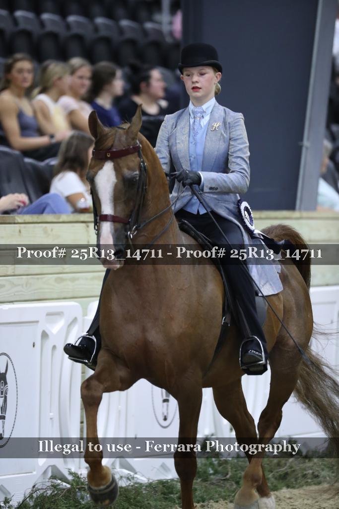 Proof 25R13_14711
