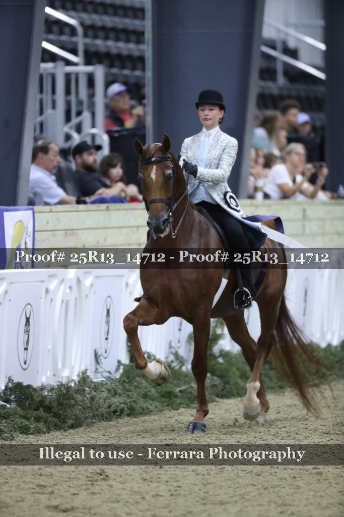 Proof 25R13_14712