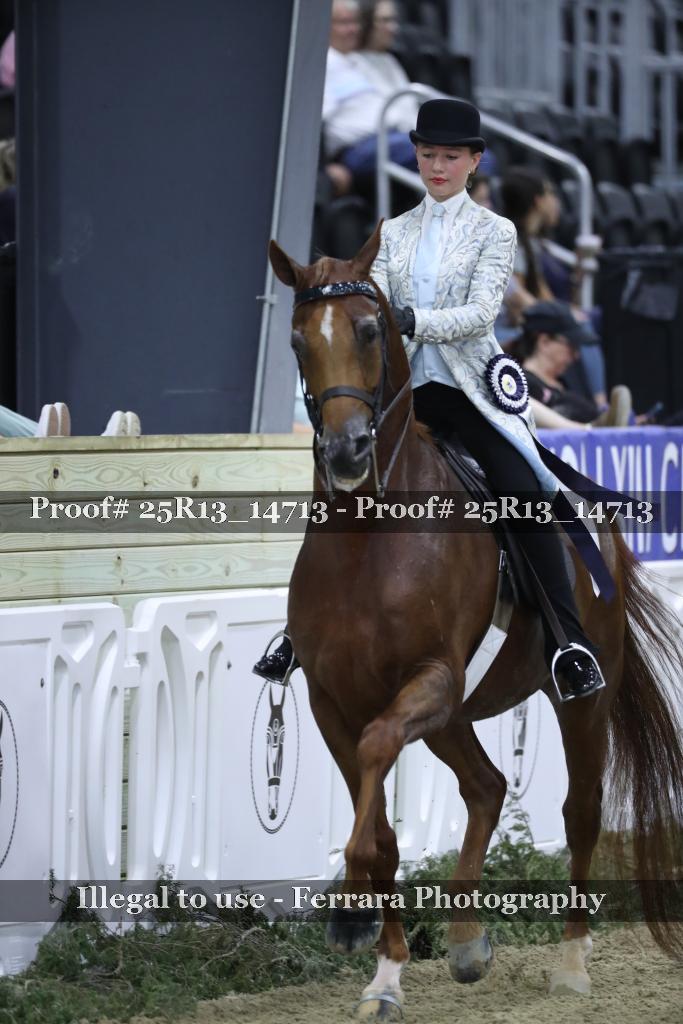 Proof 25R13_14713