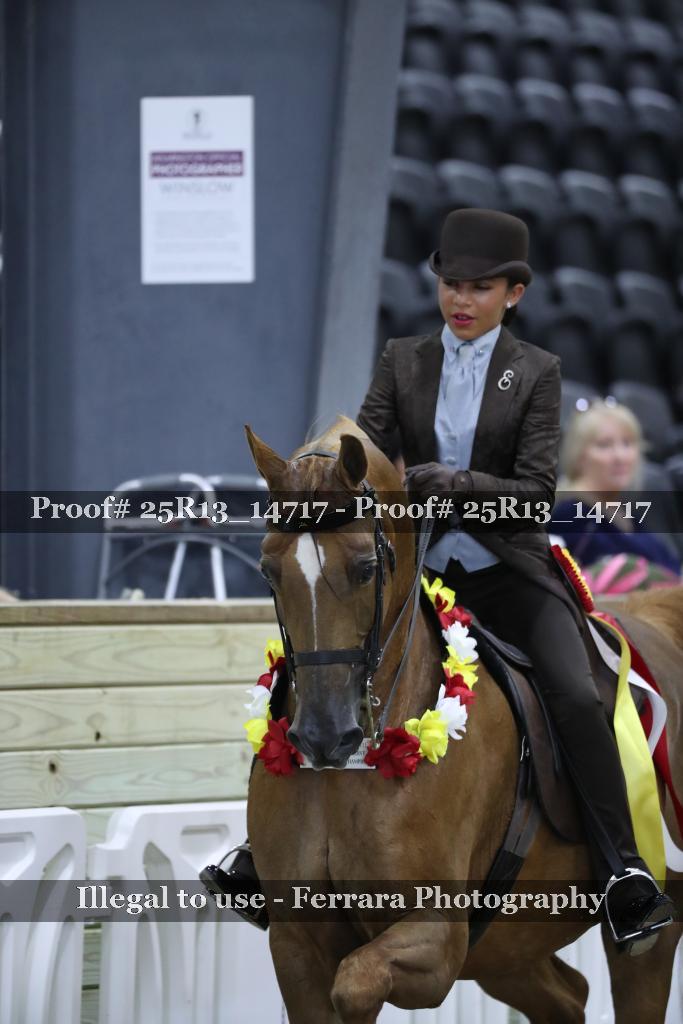 Proof 25R13_14717