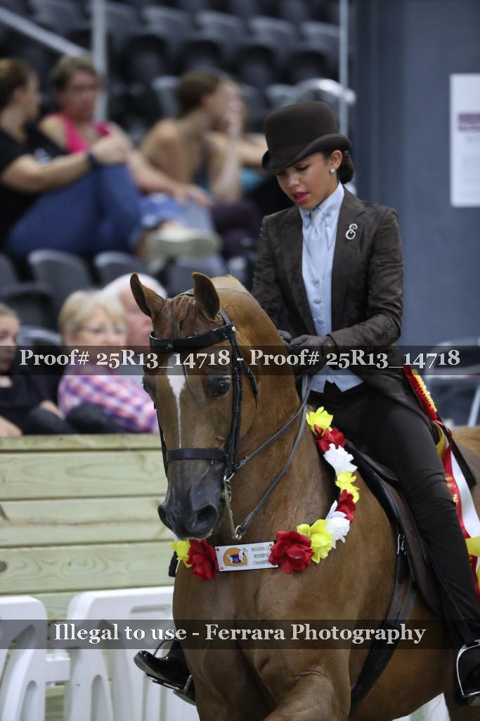 Proof 25R13_14718