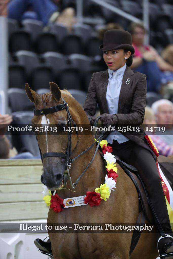 Proof 25R13_14719