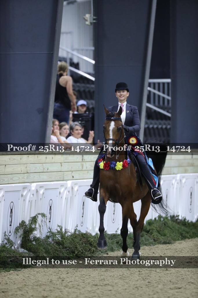Proof 25R13_14724