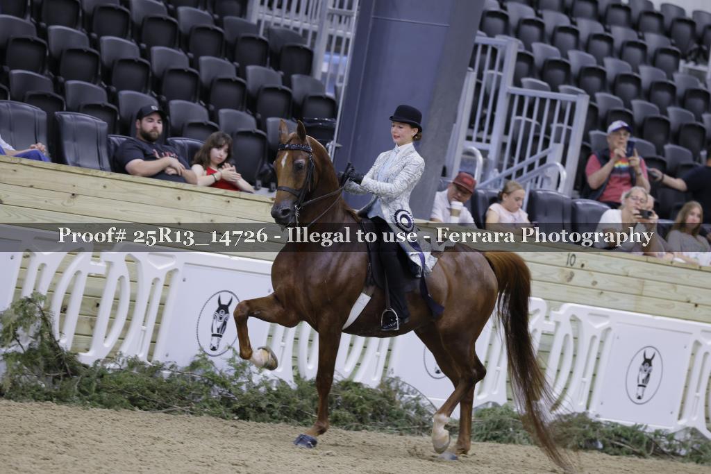 Proof 25R13_14726
