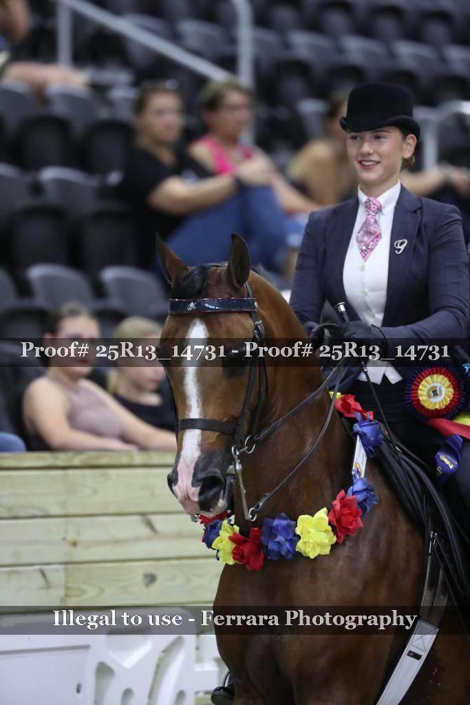 Proof 25R13_14731