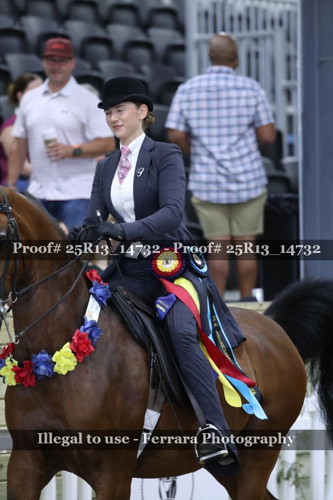 Proof 25R13_14732