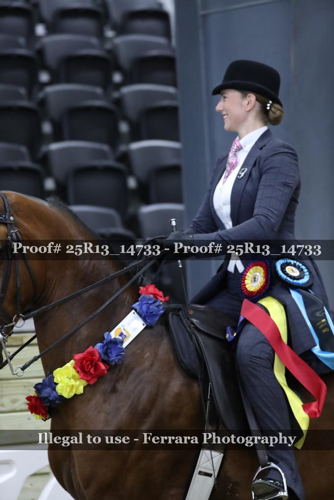 Proof 25R13_14733