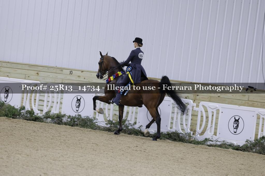 Proof 25R13_14734