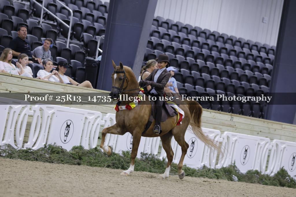 Proof 25R13_14735