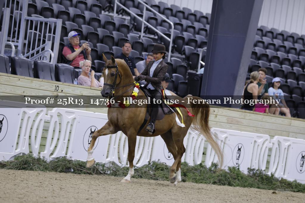 Proof 25R13_14736