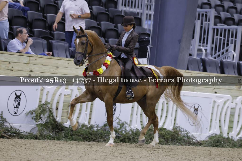 Proof 25R13_14737
