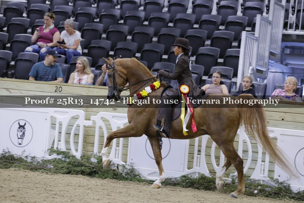 Proof 25R13_14742