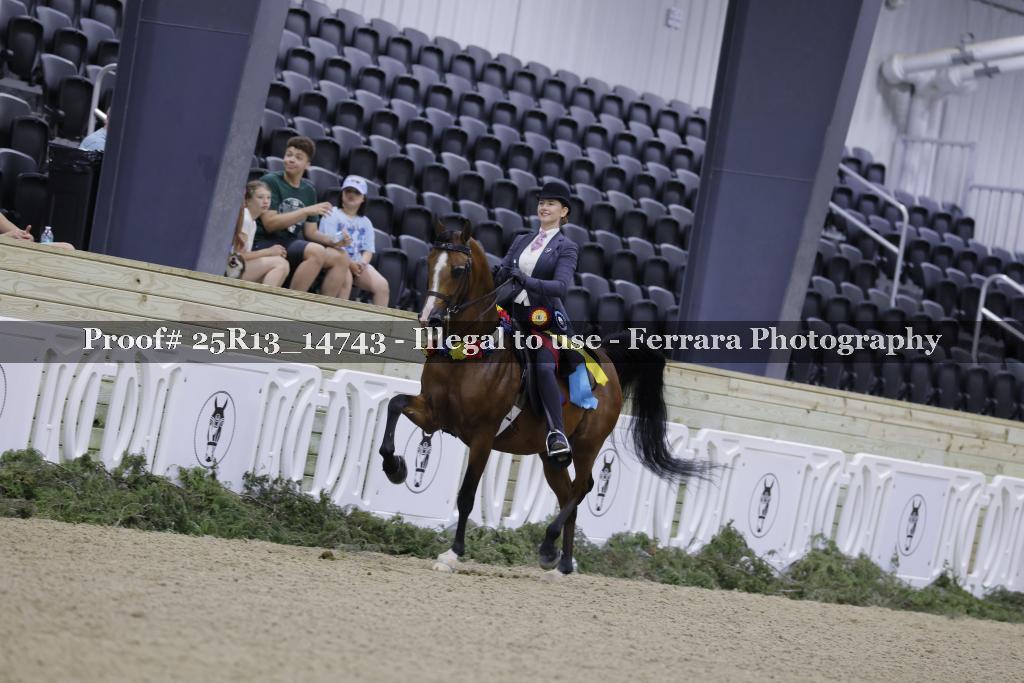 Proof 25R13_14743