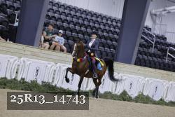 25R13_14743 proof