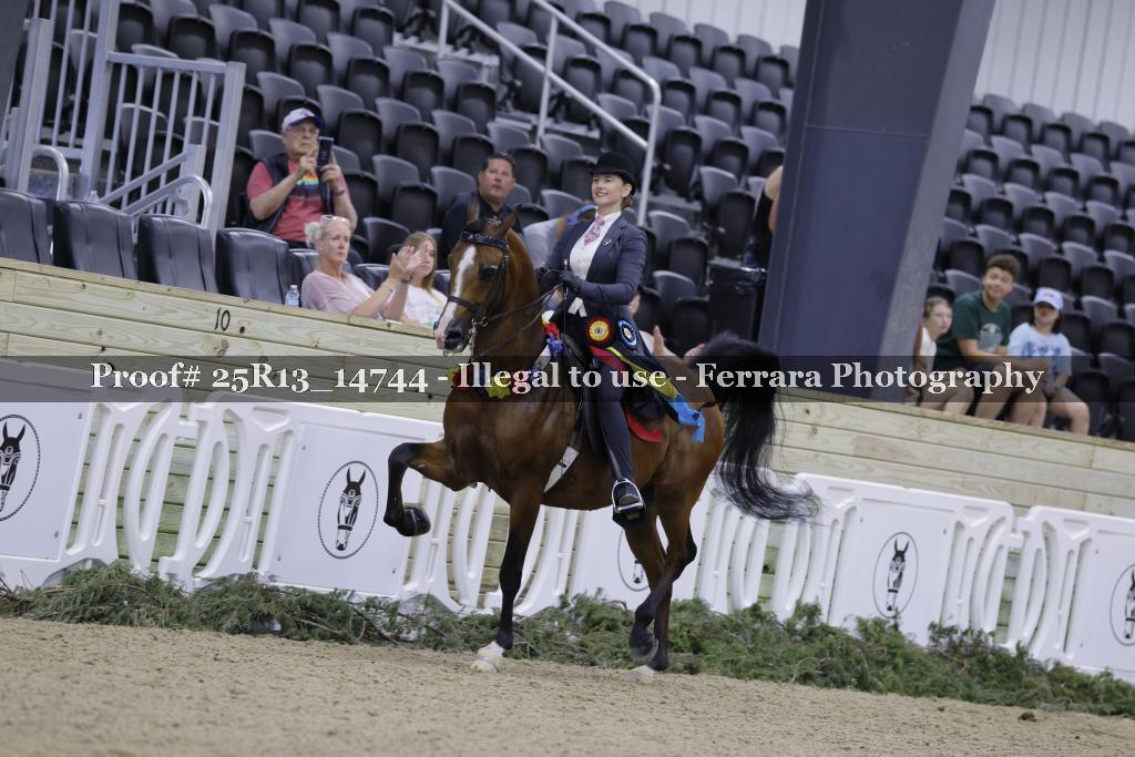Proof 25R13_14744