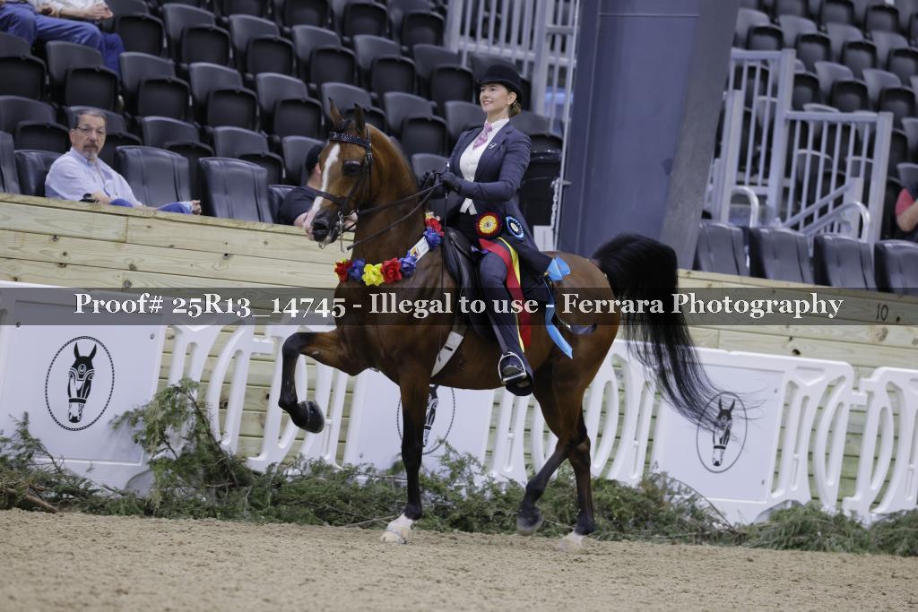 Proof 25R13_14745