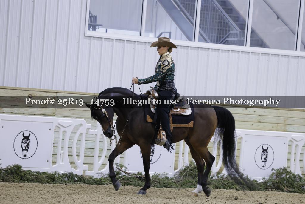 Proof 25R13_14753