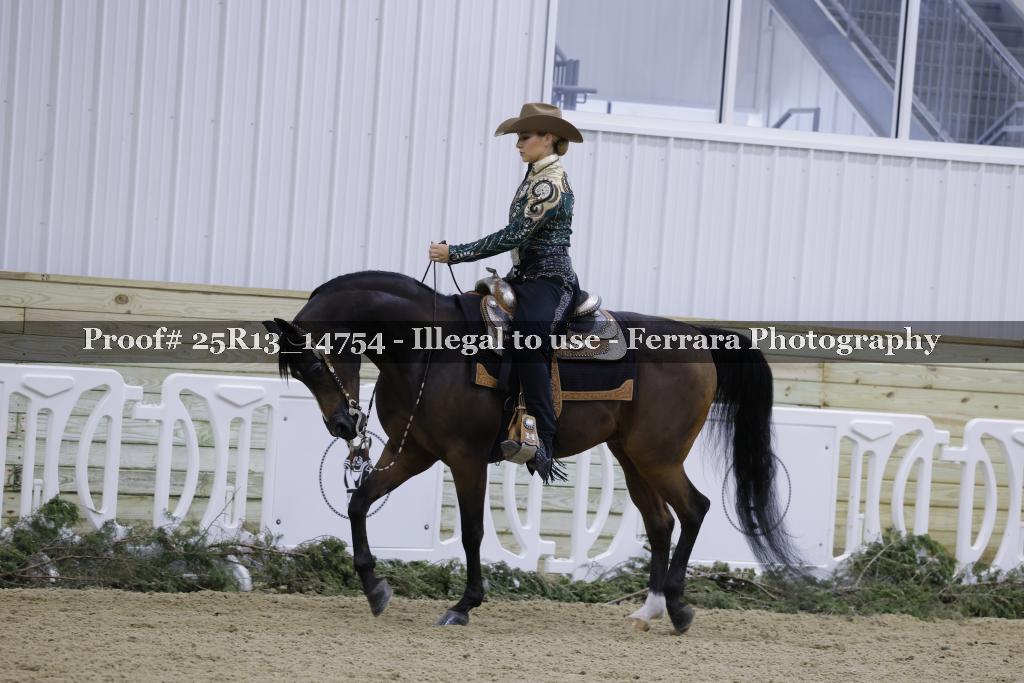 Proof 25R13_14754
