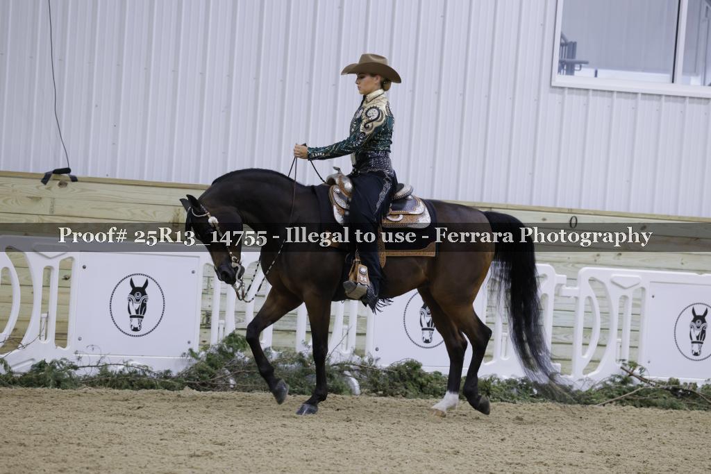 Proof 25R13_14755