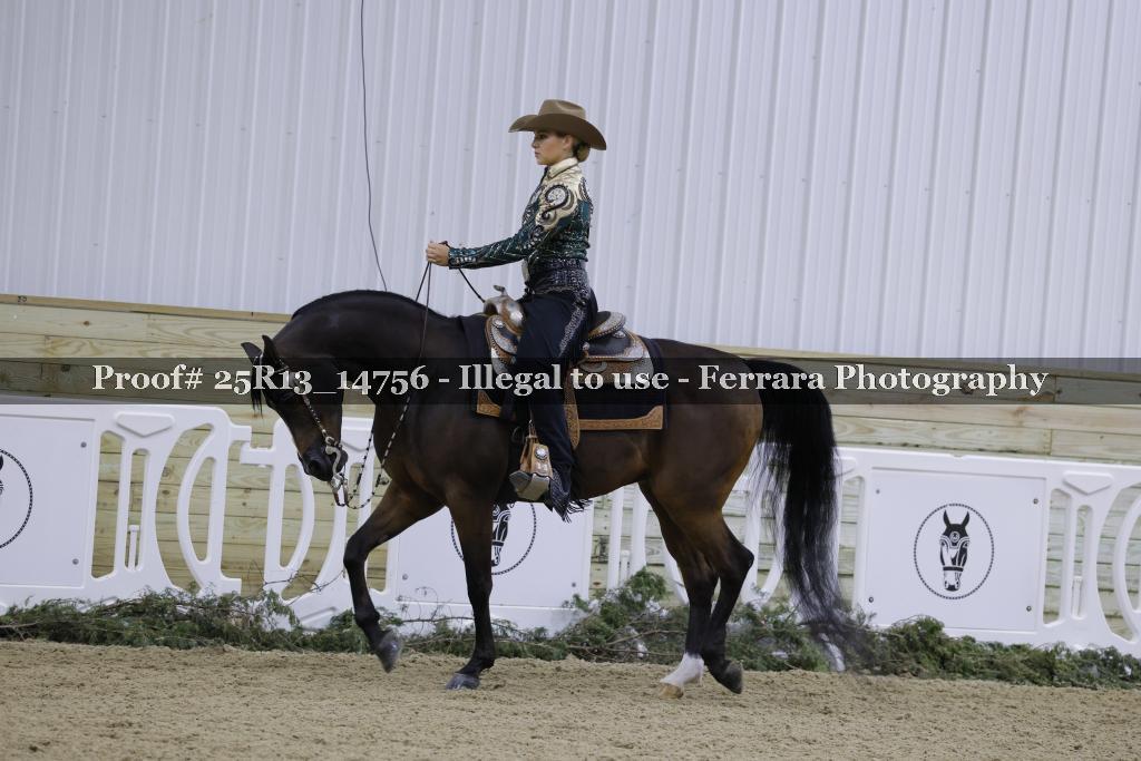 Proof 25R13_14756