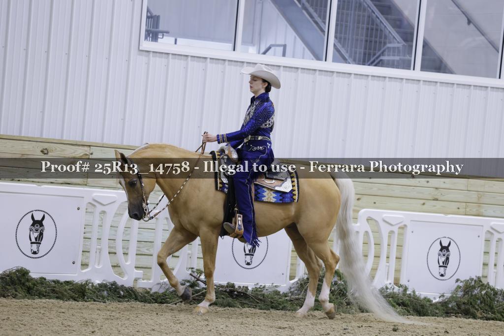 Proof 25R13_14758