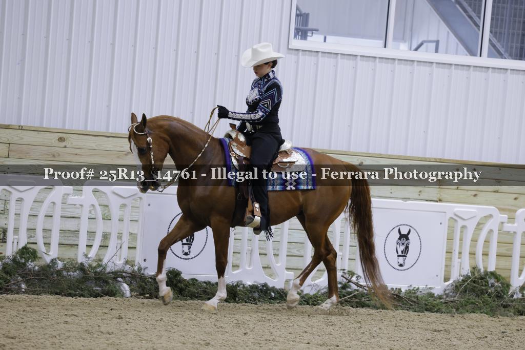 Proof 25R13_14761