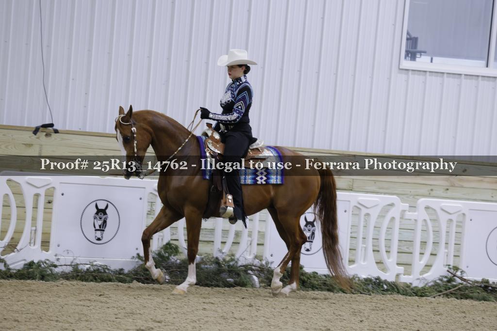 Proof 25R13_14762