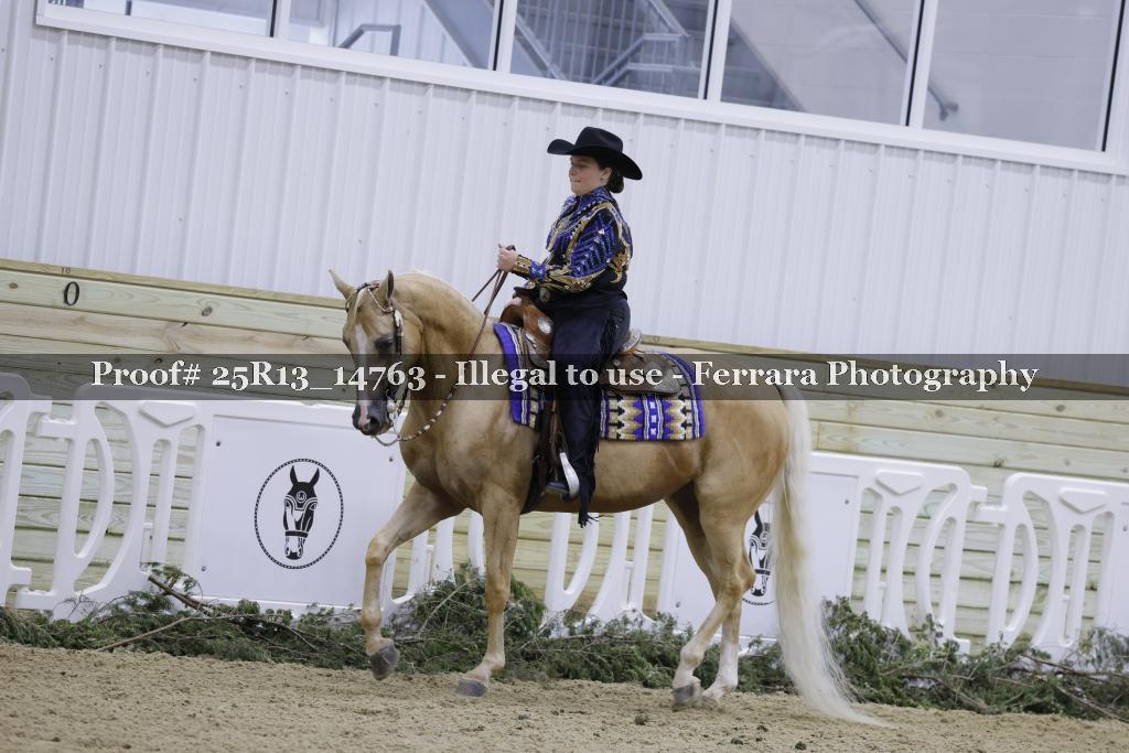 Proof 25R13_14763