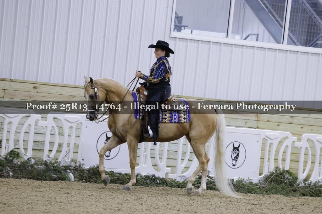 Proof 25R13_14764