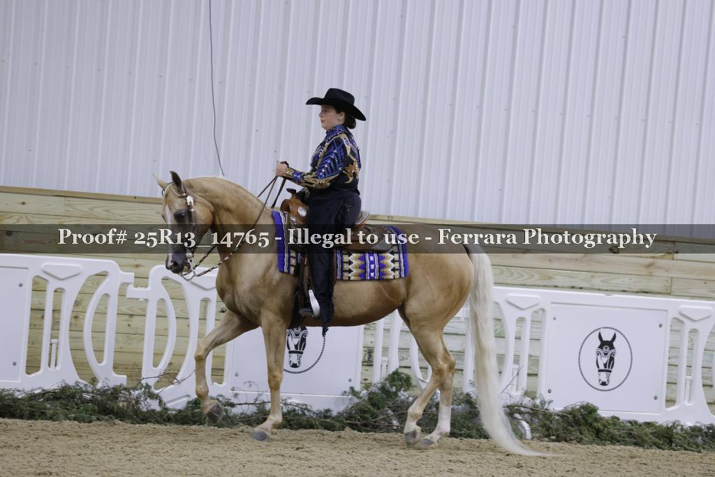 Proof 25R13_14765