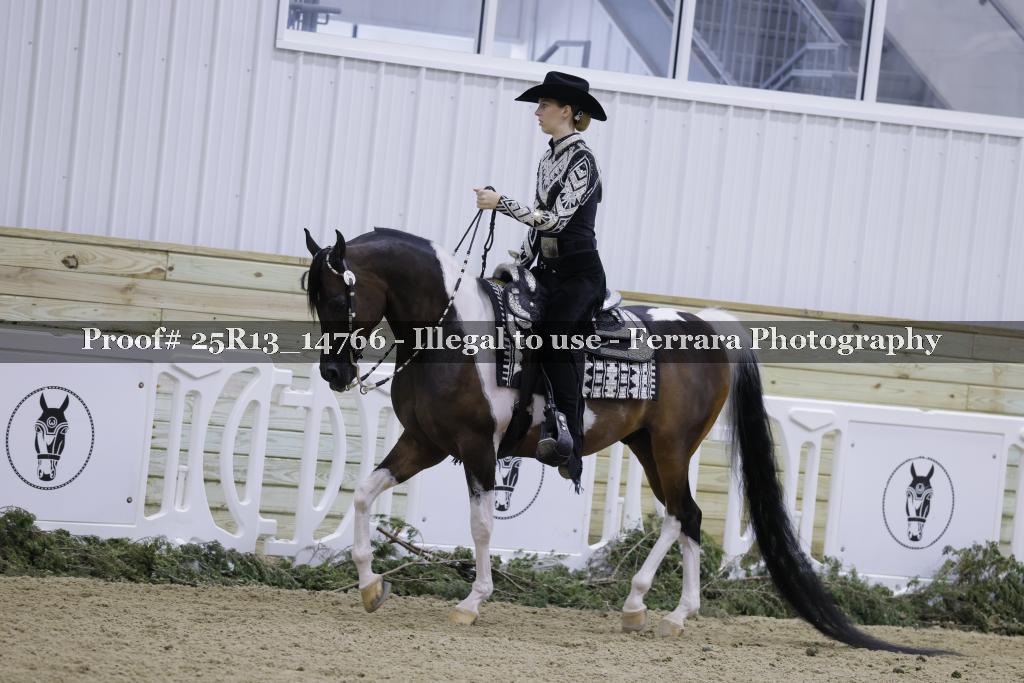Proof 25R13_14766