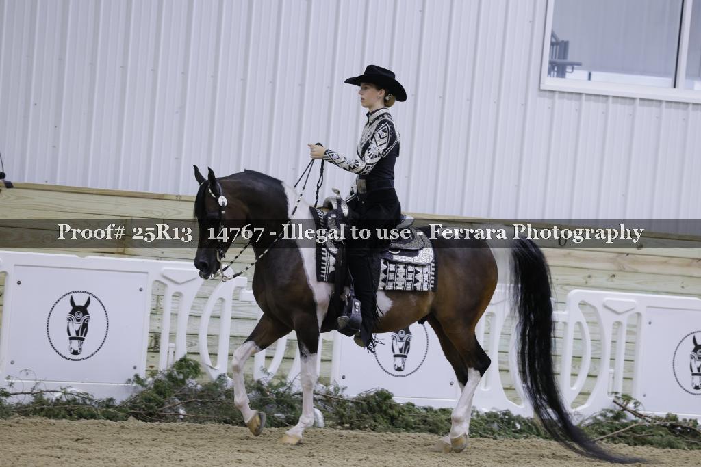 Proof 25R13_14767