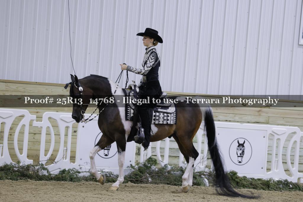 Proof 25R13_14768