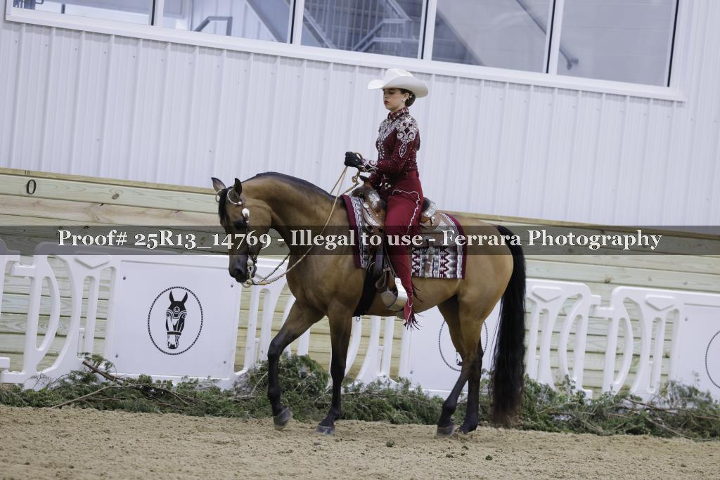 Proof 25R13_14769