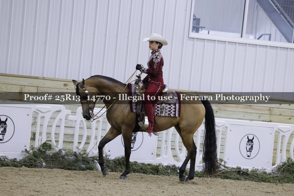 Proof 25R13_14770