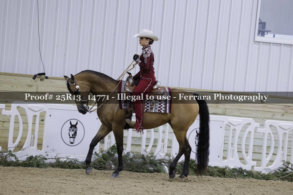 Proof 25R13_14771