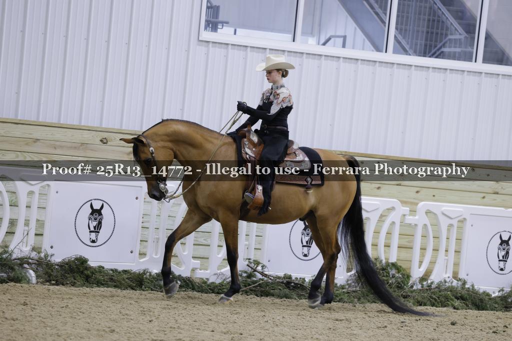 Proof 25R13_14772