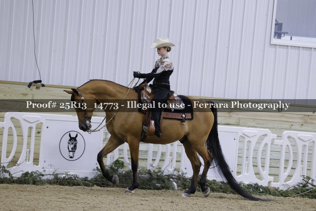 Proof 25R13_14773