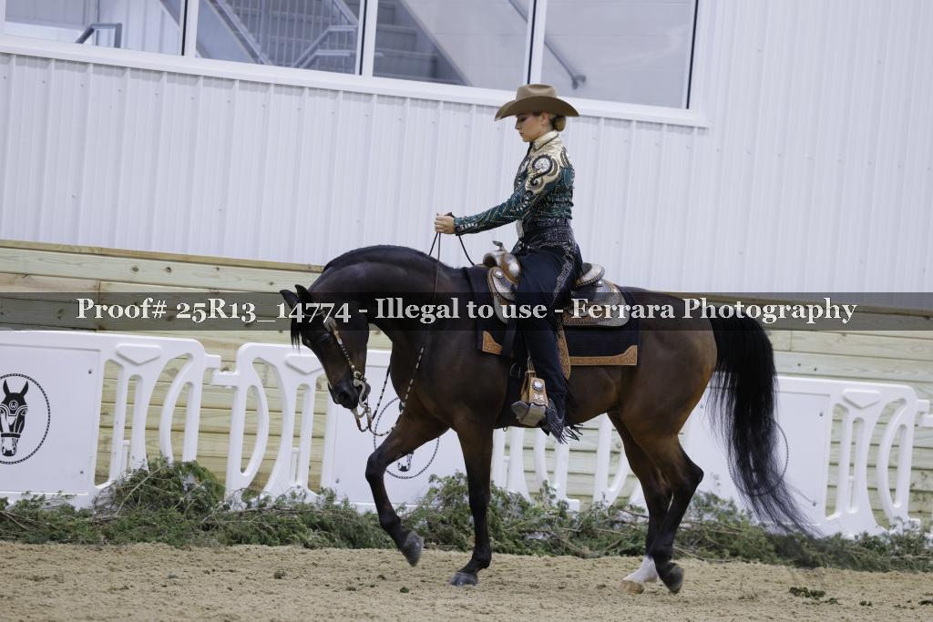 Proof 25R13_14774