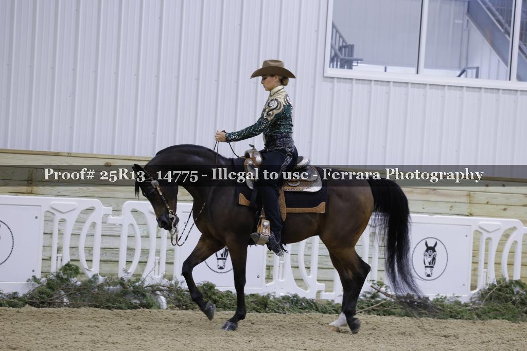 Proof 25R13_14775