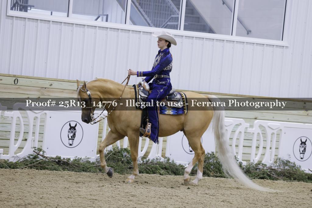 Proof 25R13_14776