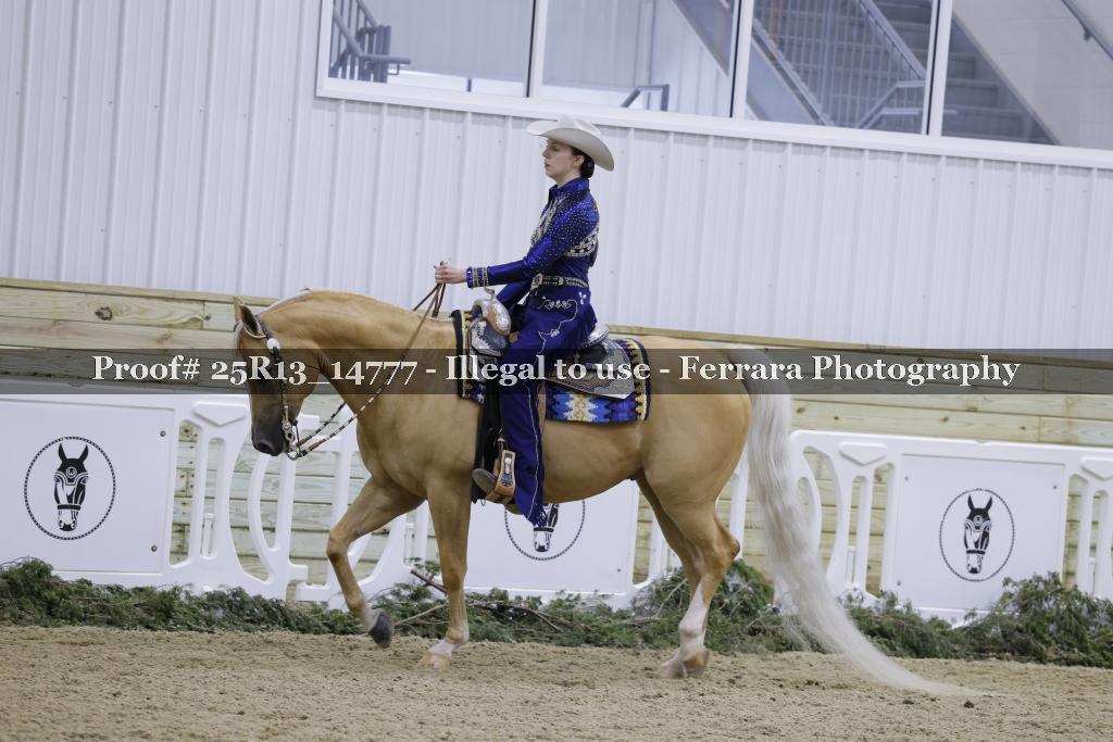 Proof 25R13_14777