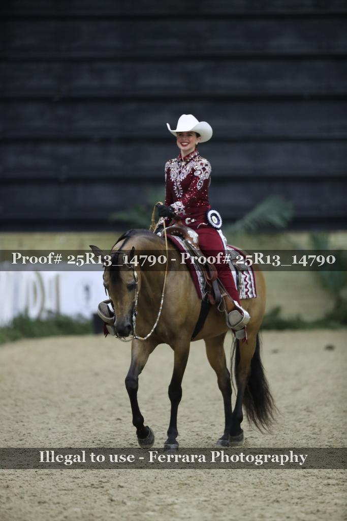 Proof 25R13_14790